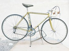Bicicletta Da Corsa olmo