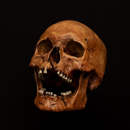 Human skull replica painted - skull,