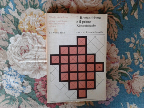 Romanticismo il primo - il,