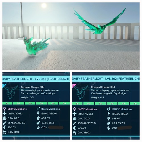 Featherlight mint id84 top - id84,