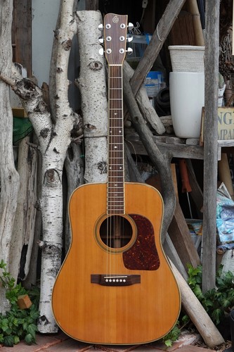 Takamine elite chitarra - takamine, tw-30