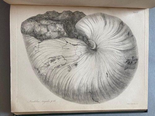Monograph the eocene - monograph,