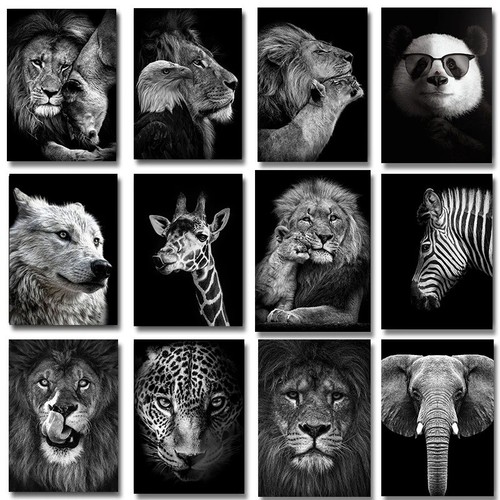 Quadro tela animale - quadro, wall
