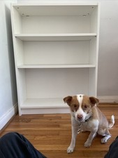 IKEA Billy 31.5W x 11D x