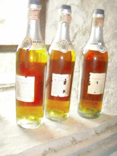 Bottiglie brandy stock - brandy,