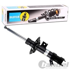 Ammortizzatore pressione gas