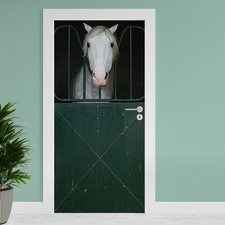Pellicola per Porta " Cavallo