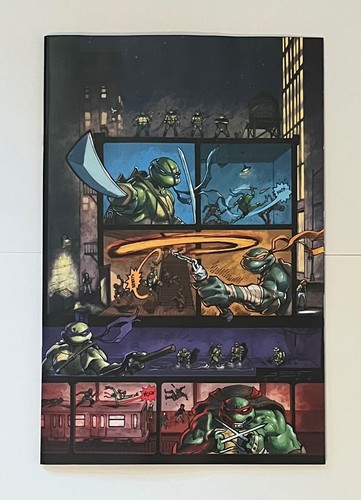 Teenage mutant ninja turtles - teenage,