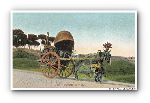 Bfp1 0410 italia - -,