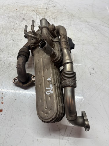 Radiatore gas scarico - radiatore,