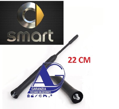 Antenna asta auto interna - m6,