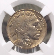 1927 "P" testa indiana BUFFALO