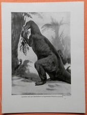Iguanodonte ricostruzione Hagenbeck Amburgo stampa 1912 dinosauro Cretaceo 