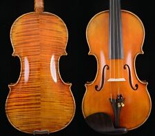 Un Grande Maestro Violino Guarneri del Gesù 1743 Cannone Violino n.W019