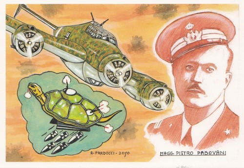 Cartolina aviazione publicard - cartolina,