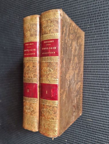 Pouchet zoologie classique - zoologie,
