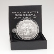 2020-P Atb 5 Oz. Argento