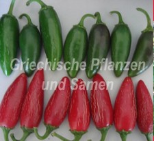 🔥 🌶️ Peperoncino