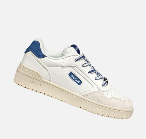 Sneakers geox washiba pelle - geox, in