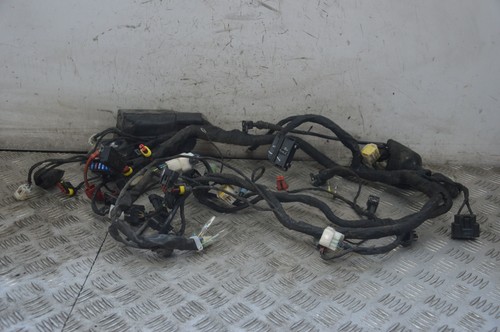 89102 cablaggio impianto - 89102,