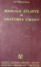 Spalteholz-Spanner MANUALE