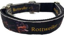 Rottweiler Collare per Cani