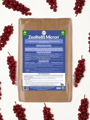 20kg zeolite micronizzata - zeolite,