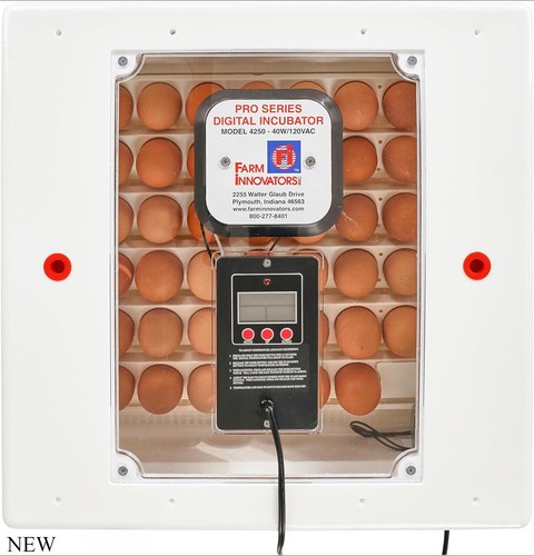 Farm innovators egg - farm,