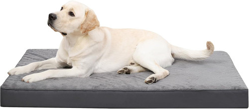 Ortopedico cuccia cane - ortopedico,