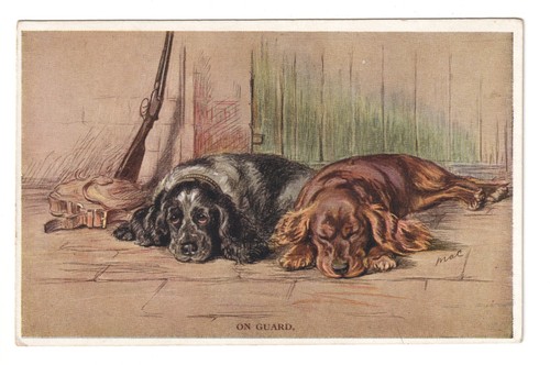 Mac tailwagger postcard from - postcard,