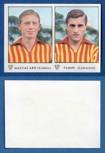 Figurina calciatori panini - figurina,