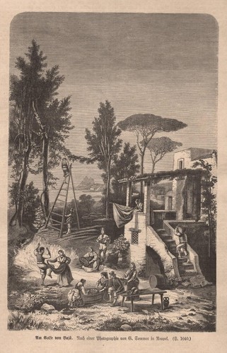 Stampa antica baia panorama - stampa,