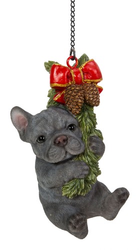 Mini bulldog francese blu - francese,
