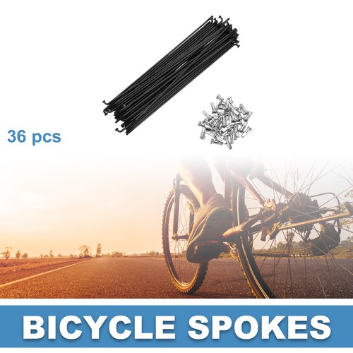 Raggi bici 14g - 14g, mountain