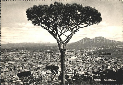 Napoli panorama - napoli,