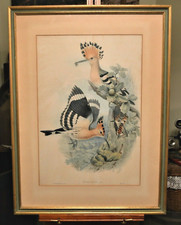 "Birds of Great Britain"