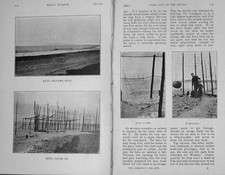 Vecchia stampa antica