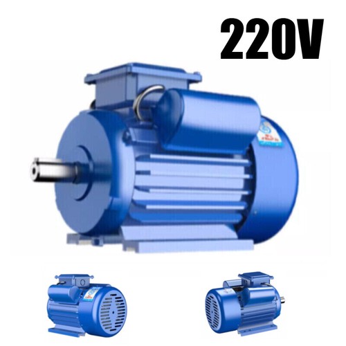Motore elettrico monofase