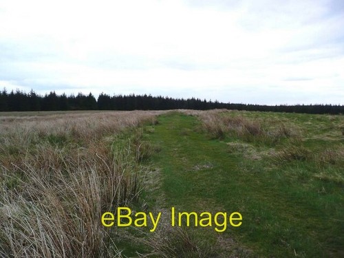 Photo 6x4 quad bike track - photo,