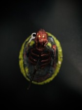 Dice Tower Fantasy Torre