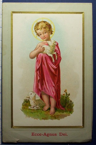 Ecce agnus dei - agnus,