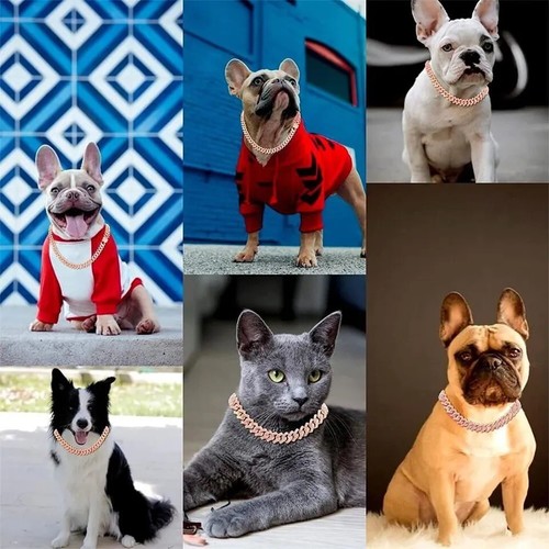 Collare per cani - , catena