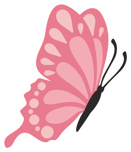 Adesivi auto sticker - 7, x