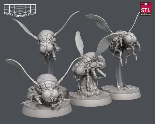 Set miniature sciami di - di,