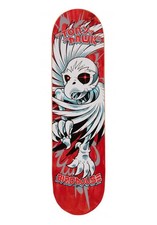 TAVOLA SKATE BIRDHOUSE HAWK