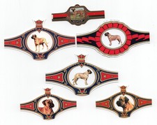 BULLMASTIFF COLLECTION OF DOG