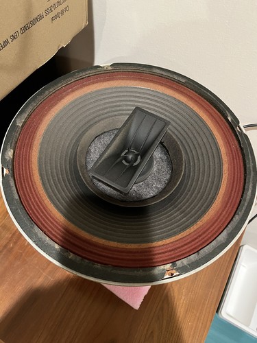 Altoparlante vocale elettrico