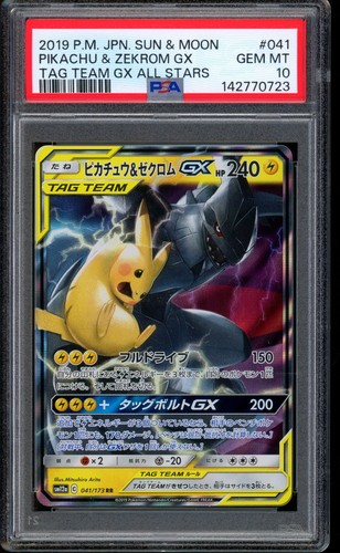 2019 pokemon pikachu zekrom - pokemon,