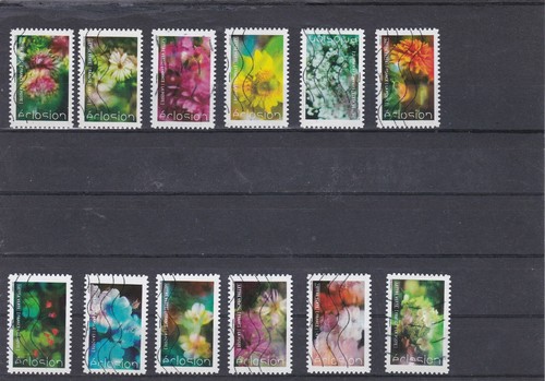 Francia 2019 flora - /, casa