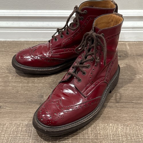 Rare nepenthes trickers - rare,